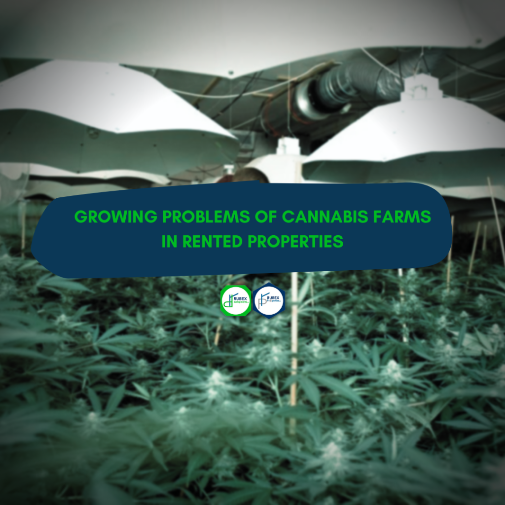 2 Growing problems of cannabis farms in rented properties